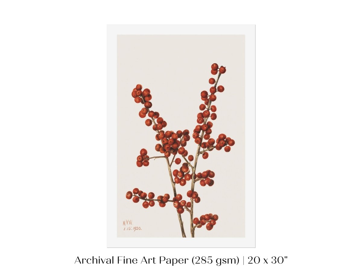Winterberry Illustration | P469 - Single Art Prints - Piccolo Fiore Prints