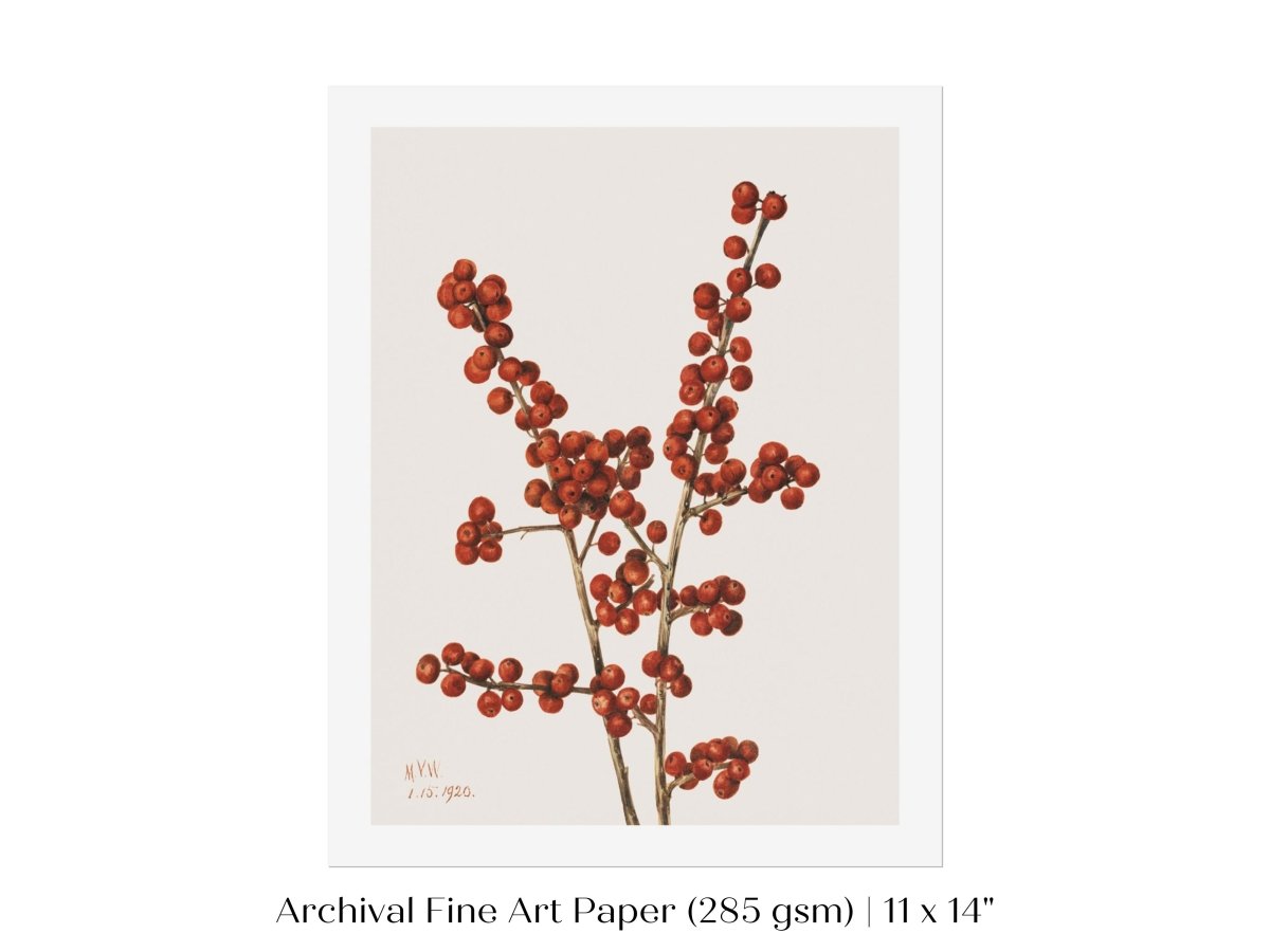 Winterberry Illustration | P469 - Single Art Prints - Piccolo Fiore Prints