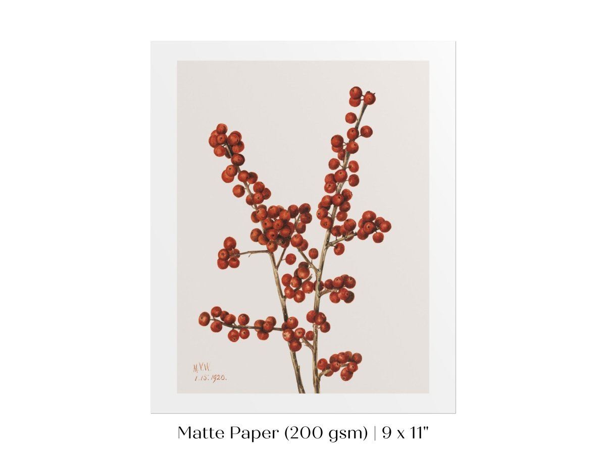 Winterberry Illustration | P469 - Single Art Prints - Piccolo Fiore Prints