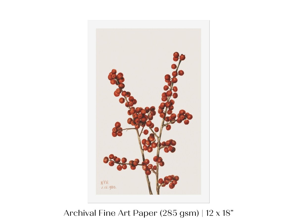 Winterberry Illustration | P469 - Single Art Prints - Piccolo Fiore Prints