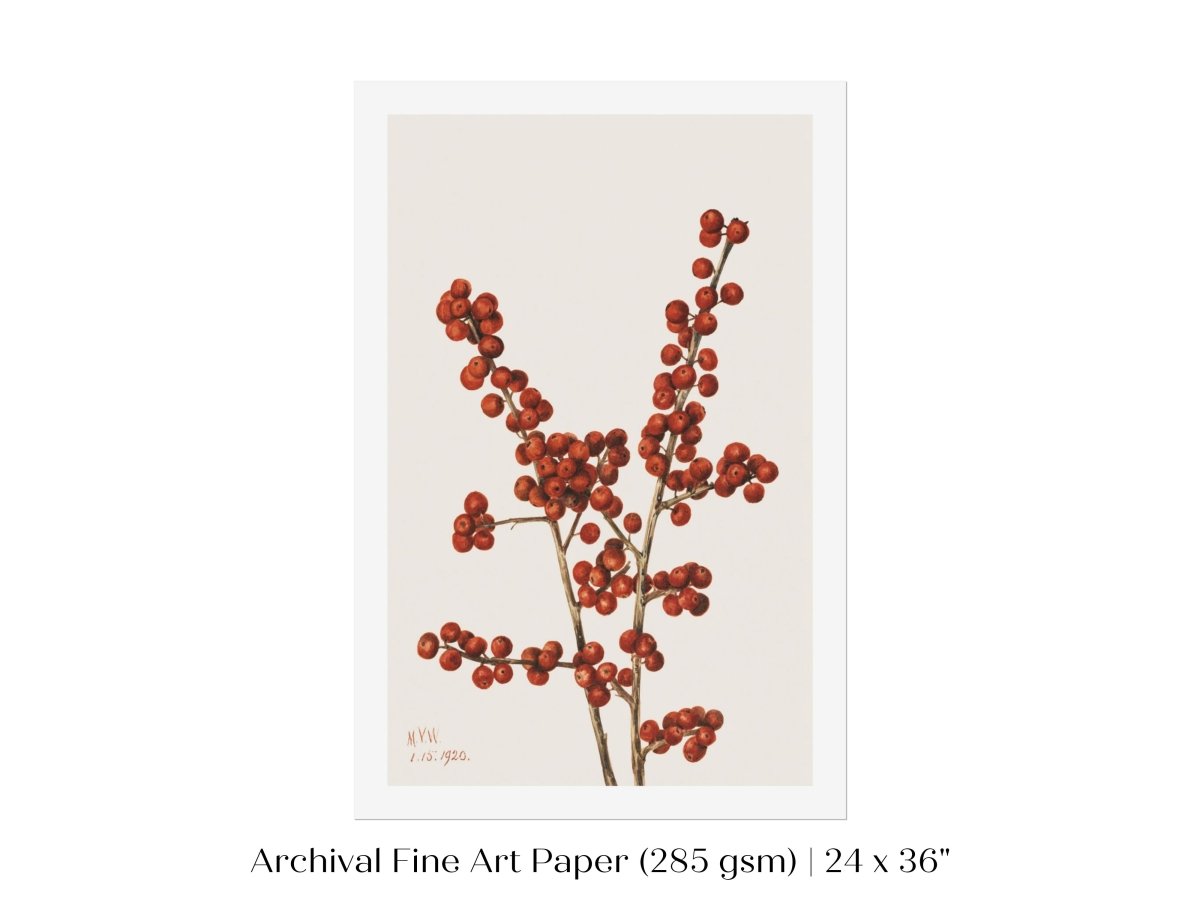 Winterberry Illustration | P469 - Single Art Prints - Piccolo Fiore Prints