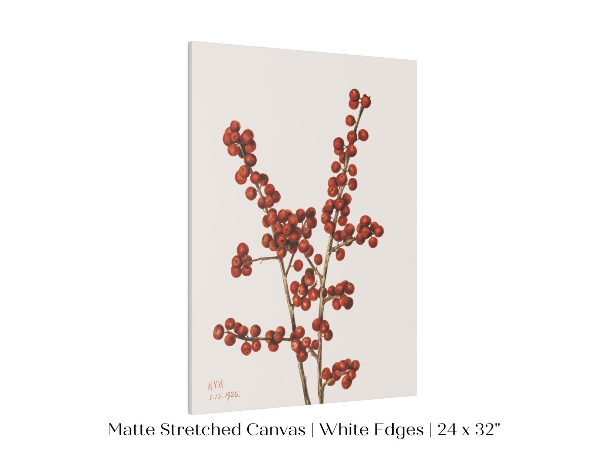 Winterberry Illustration | P469 - Single Art Prints - Piccolo Fiore Prints