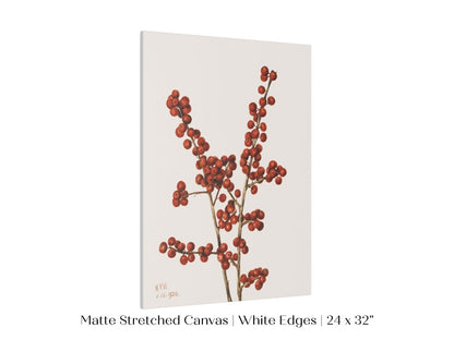 Winterberry Illustration | P469 - Single Art Prints - Piccolo Fiore Prints