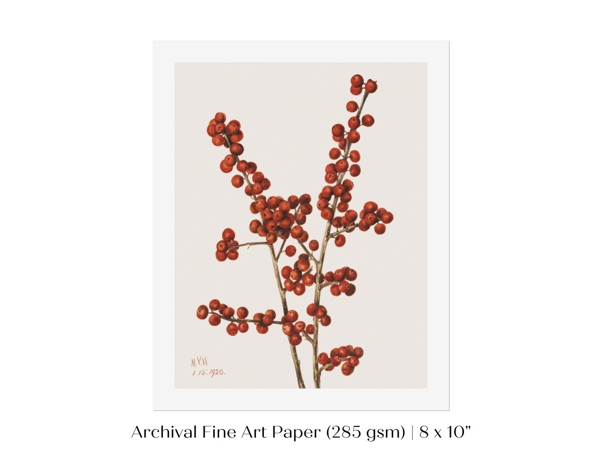 Winterberry Illustration | P469 - Single Art Prints - Piccolo Fiore Prints