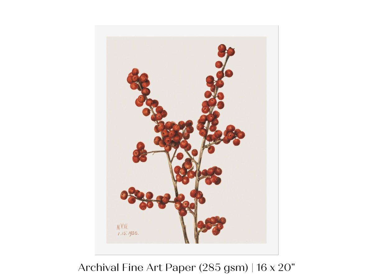 Winterberry Illustration | P469 - Single Art Prints - Piccolo Fiore Prints