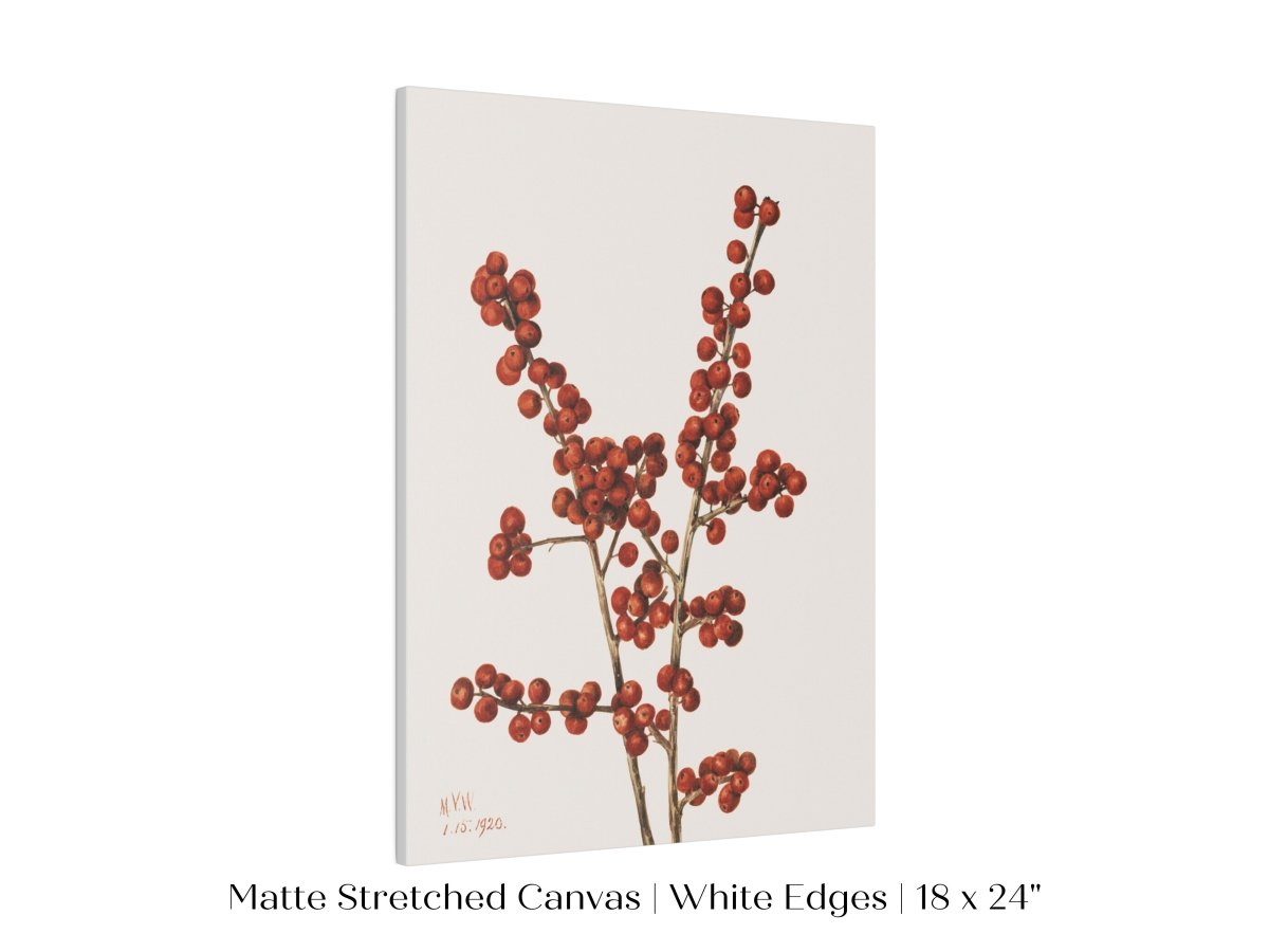 Winterberry Illustration | P469 - Single Art Prints - Piccolo Fiore Prints