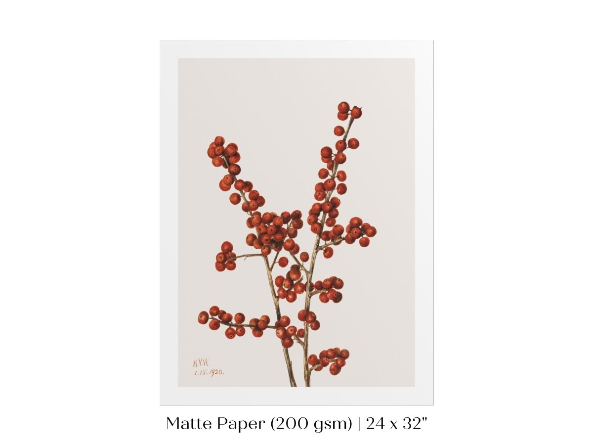 Winterberry Illustration | P469 - Single Art Prints - Piccolo Fiore Prints