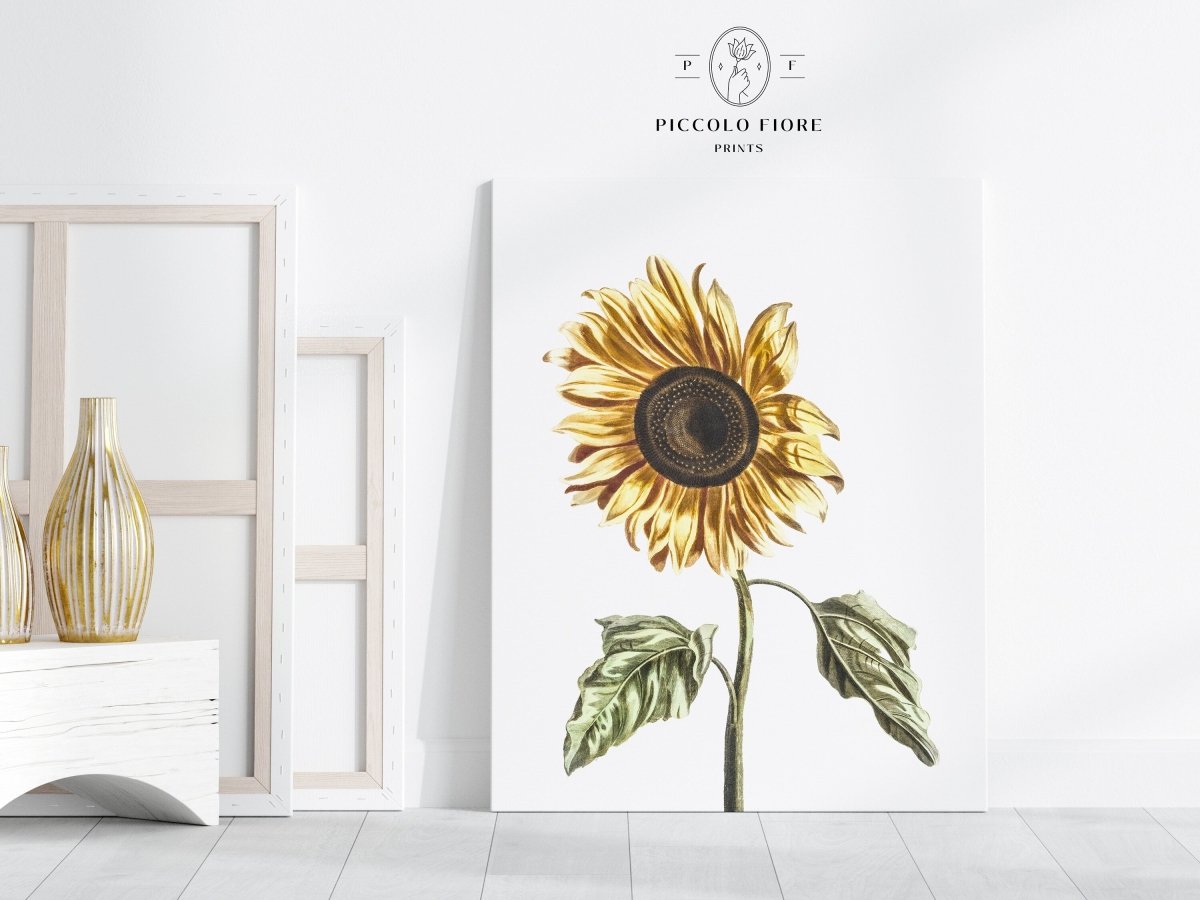 A Sunflower | P39 - Single Art Prints - Piccolo Fiore Prints