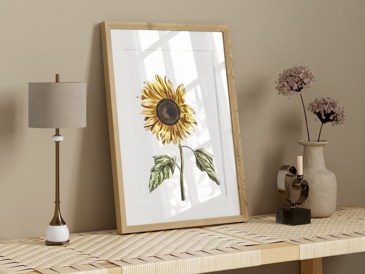 A Sunflower | P39 - Single Art Prints - Piccolo Fiore Prints
