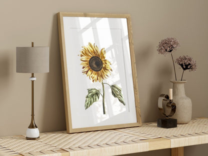A Sunflower | P39 - Single Art Prints - Piccolo Fiore Prints