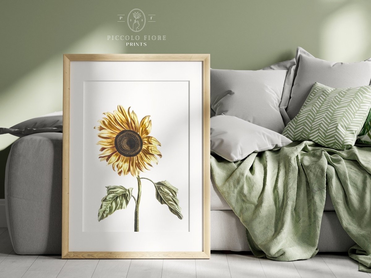A Sunflower | P39 - Single Art Prints - Piccolo Fiore Prints