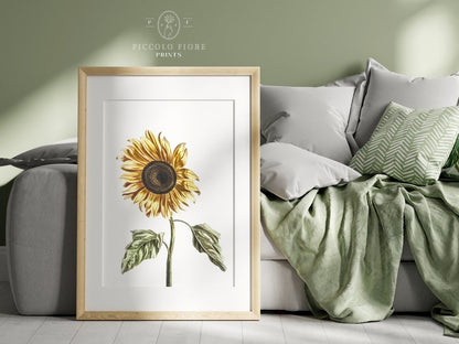 A Sunflower | P39 - Single Art Prints - Piccolo Fiore Prints