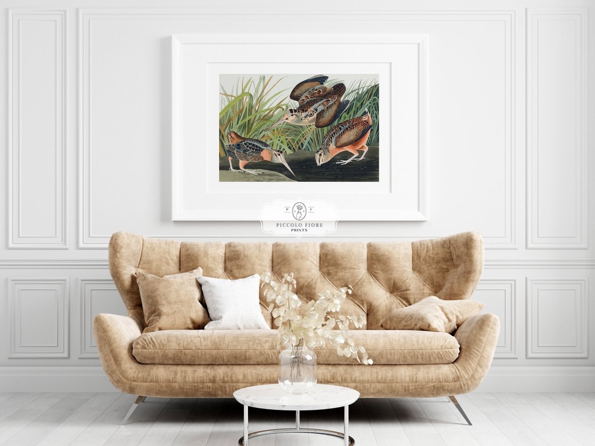 American Woodcocks Illustration | P17 - Single Art Prints - Piccolo Fiore Prints