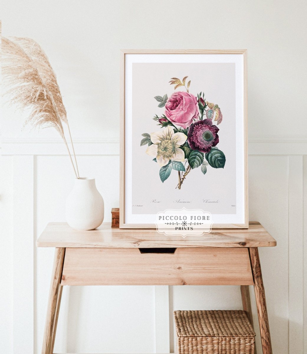 Anemone and Cabbage Rose Illustration | P492 - Single Art Prints - Piccolo Fiore Prints