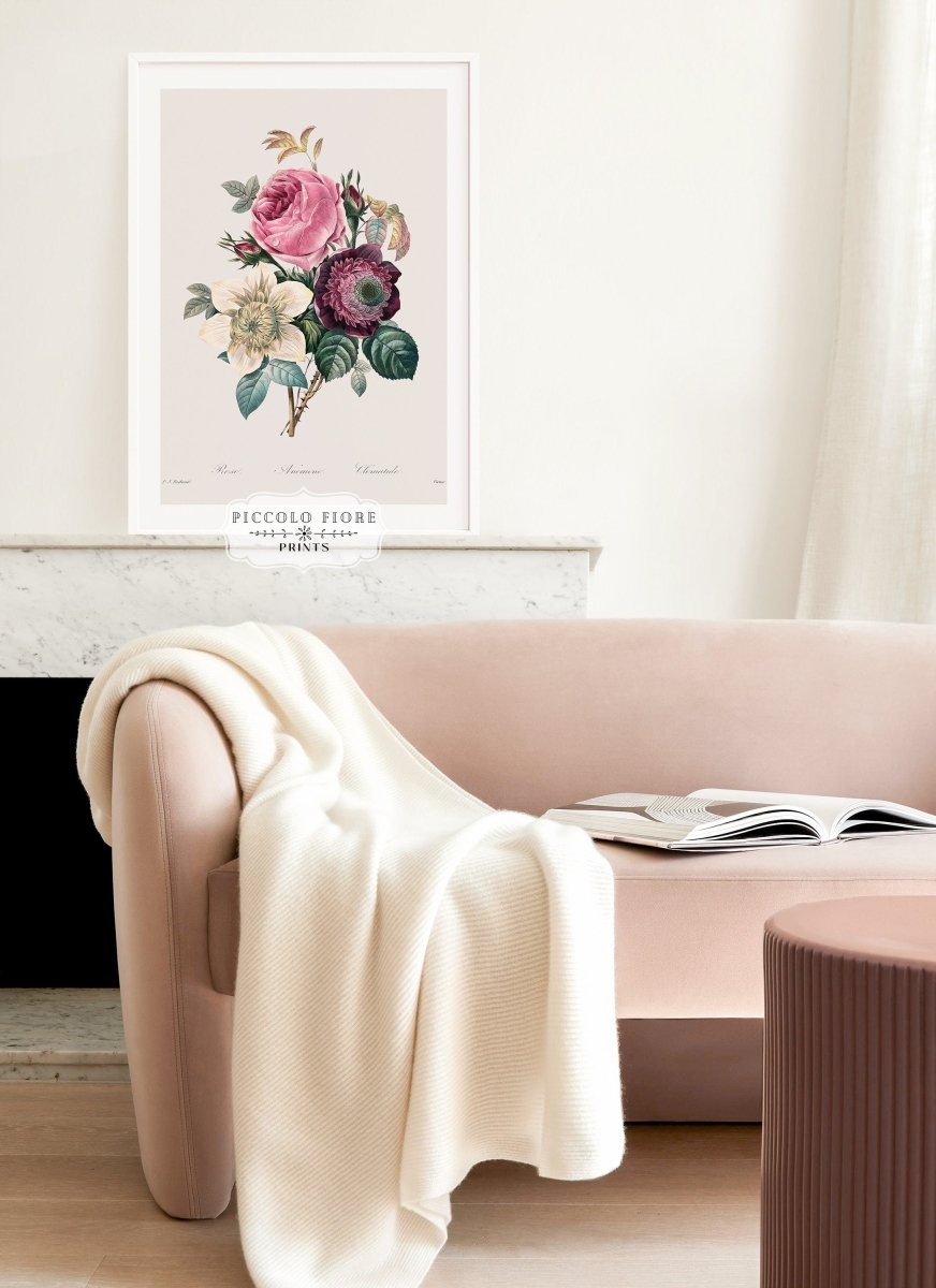 Anemone and Cabbage Rose Illustration | P492 - Single Art Prints - Piccolo Fiore Prints