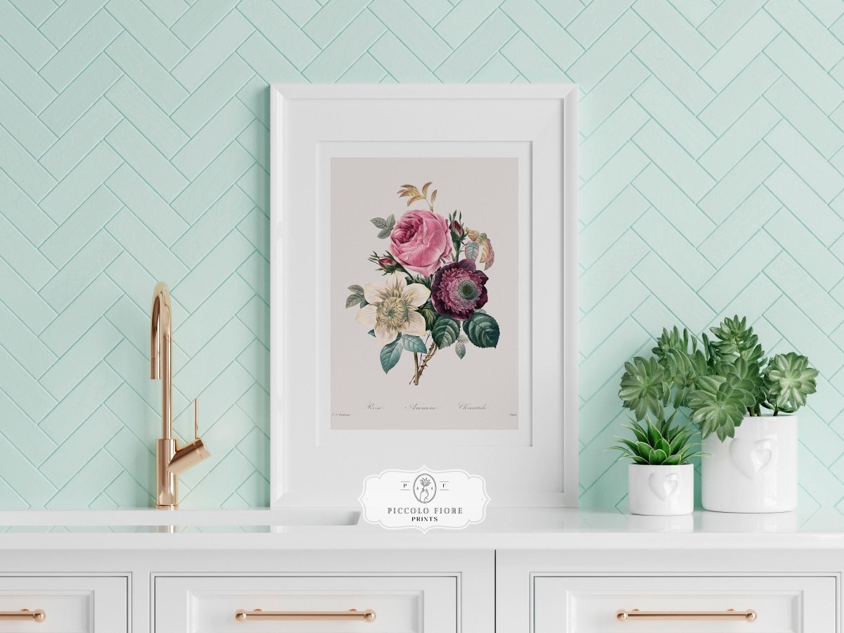 Anemone and Cabbage Rose Illustration | P492 - Single Art Prints - Piccolo Fiore Prints