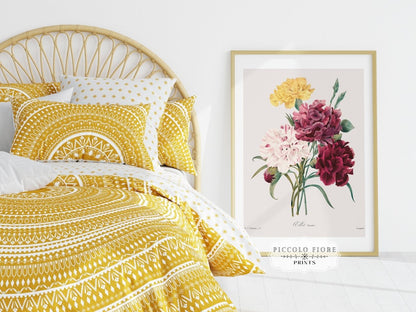 Anemones, Carnations and Sweet Peas | Gallery Wall Set | 3 Prints | M3 - 1 - Gallery Wall Set - Piccolo Fiore Prints