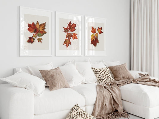 Autumn Leaves | Gallery Wall Set | 3 Prints | MVW - 1.1 - Gallery Wall Set - Piccolo Fiore Prints