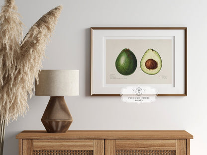 Avocado Illustration | P416 - Single Art Prints - Piccolo Fiore Prints