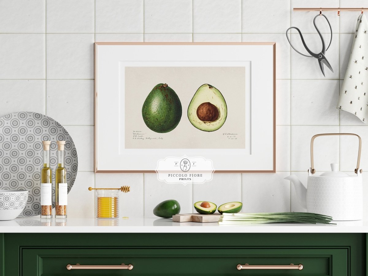 Avocado Illustration | P416 - Single Art Prints - Piccolo Fiore Prints