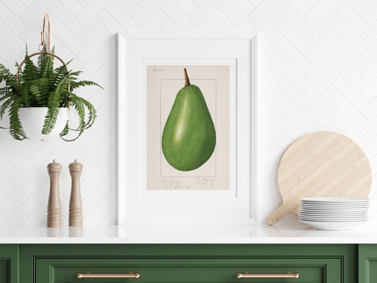 Avocado Illustration | P424 - Single Art Prints - Piccolo Fiore Prints