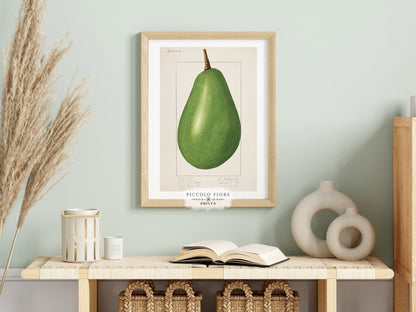 Avocado Illustration | P424 - Single Art Prints - Piccolo Fiore Prints