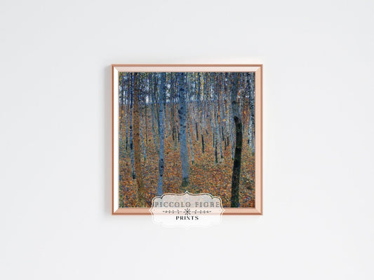 Beech Grove | P209 - Single Square Art Prints - Piccolo Fiore Prints