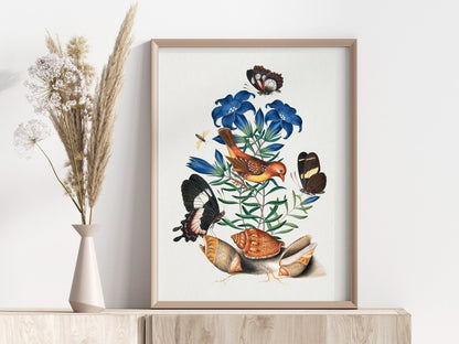 Bird, Shells and Butterflies | P158 - Single Art Prints - Piccolo Fiore Prints