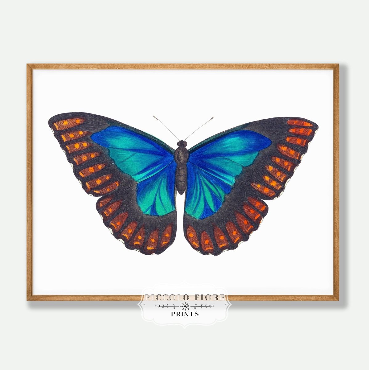 Blue and Turquoise Butterfly Illustration | P89 - Single Art Prints - Piccolo Fiore Prints