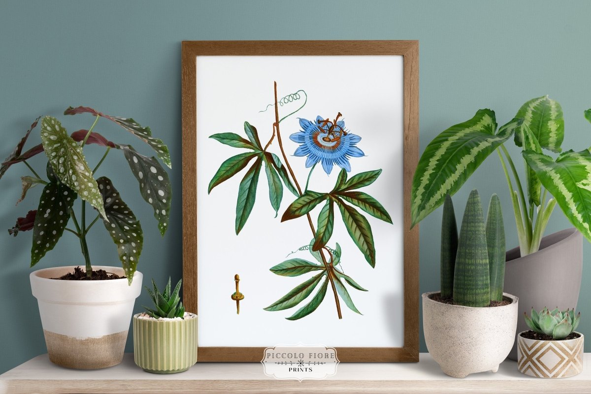 Blue Fruit and Flowers | Gallery Wall Set | 5 Prints | M5 - 5 - Gallery Wall Set - Piccolo Fiore Prints