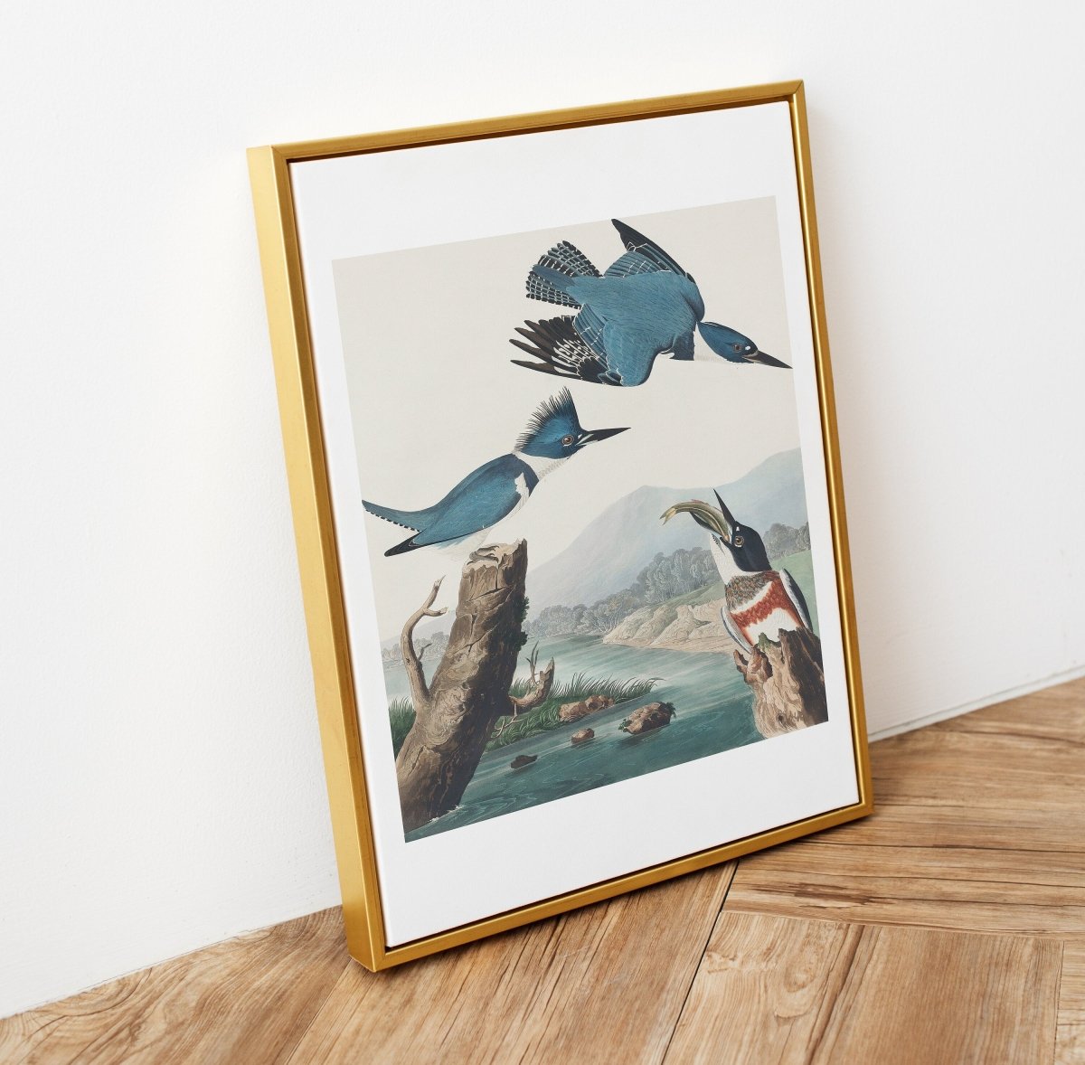 Blue Kingfisher Illustration | P238 - Single Art Prints - Piccolo Fiore Prints
