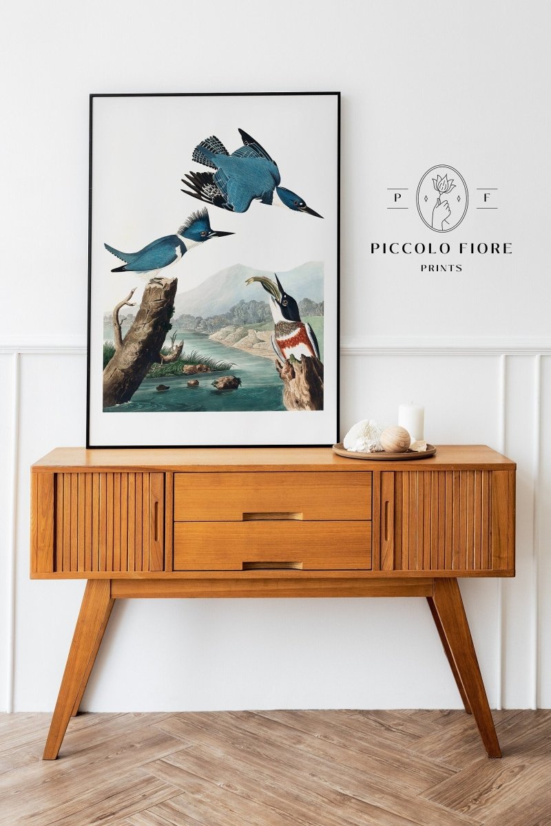 Blue Kingfisher Illustration | P238 - Single Art Prints - Piccolo Fiore Prints