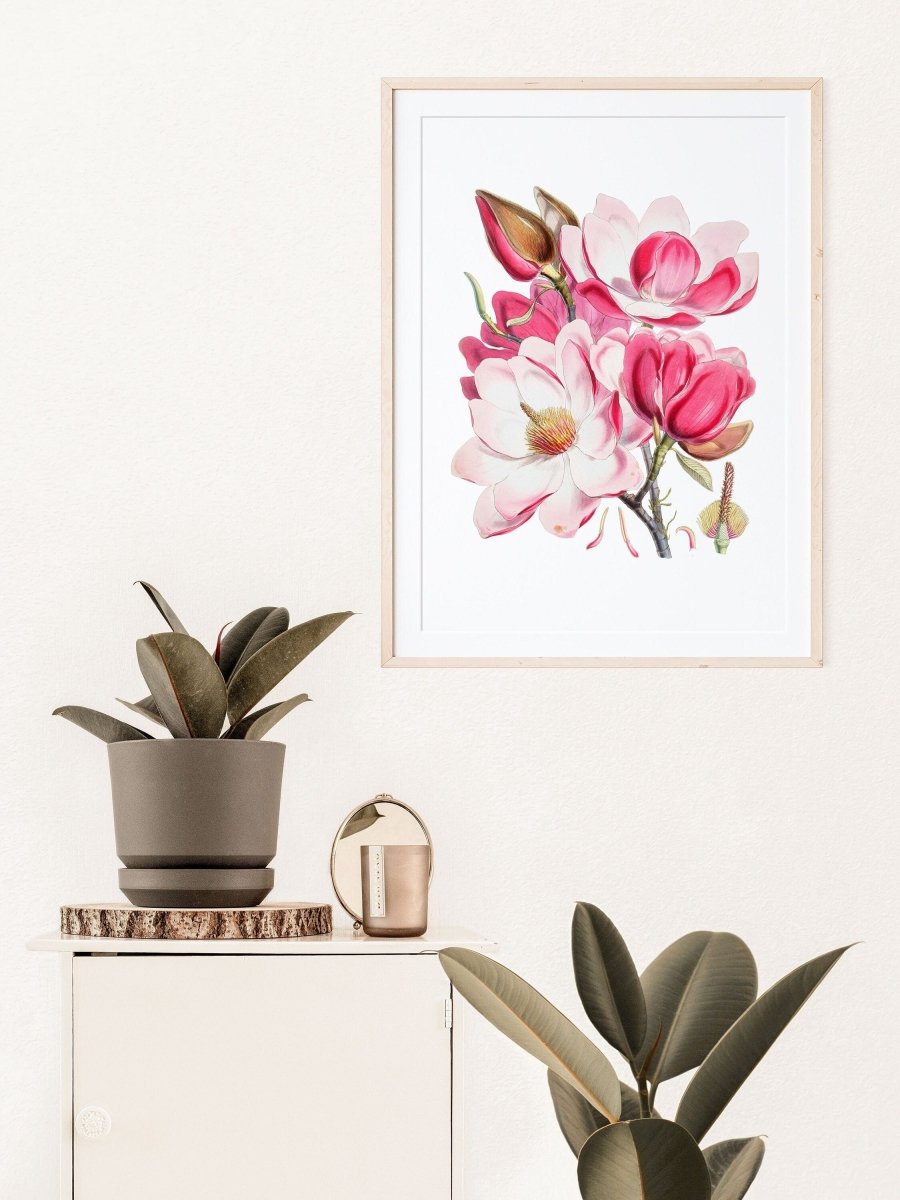 Bright Pink Magnolia Illustration | P47 - Single Art Prints - Piccolo Fiore Prints