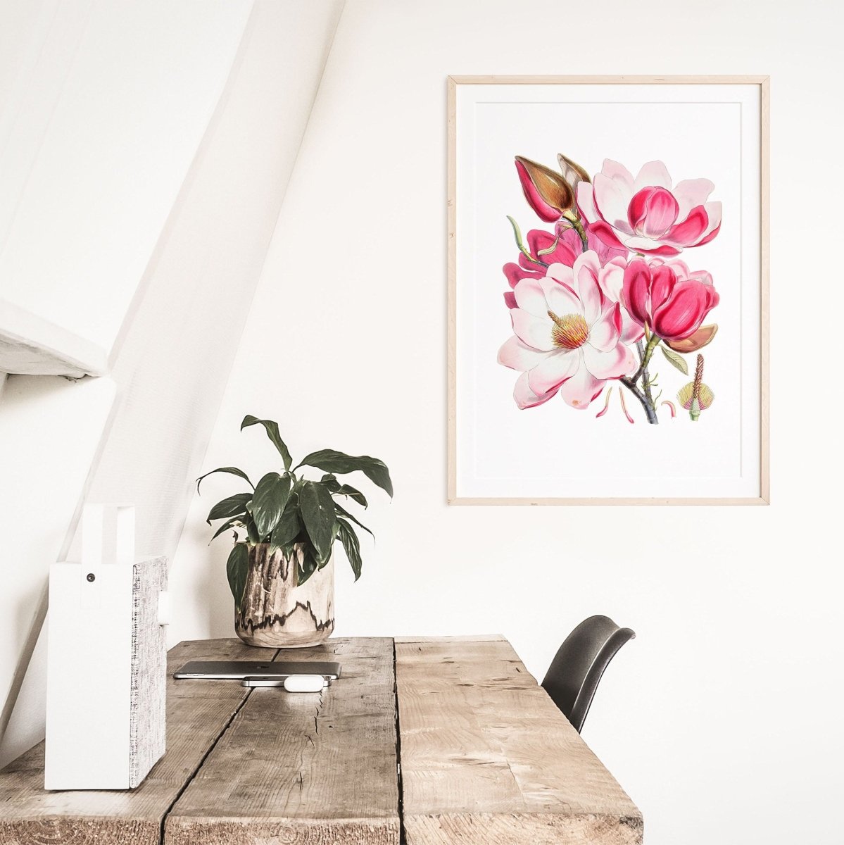 Bright Pink Magnolia Illustration | P47 - Single Art Prints - Piccolo Fiore Prints