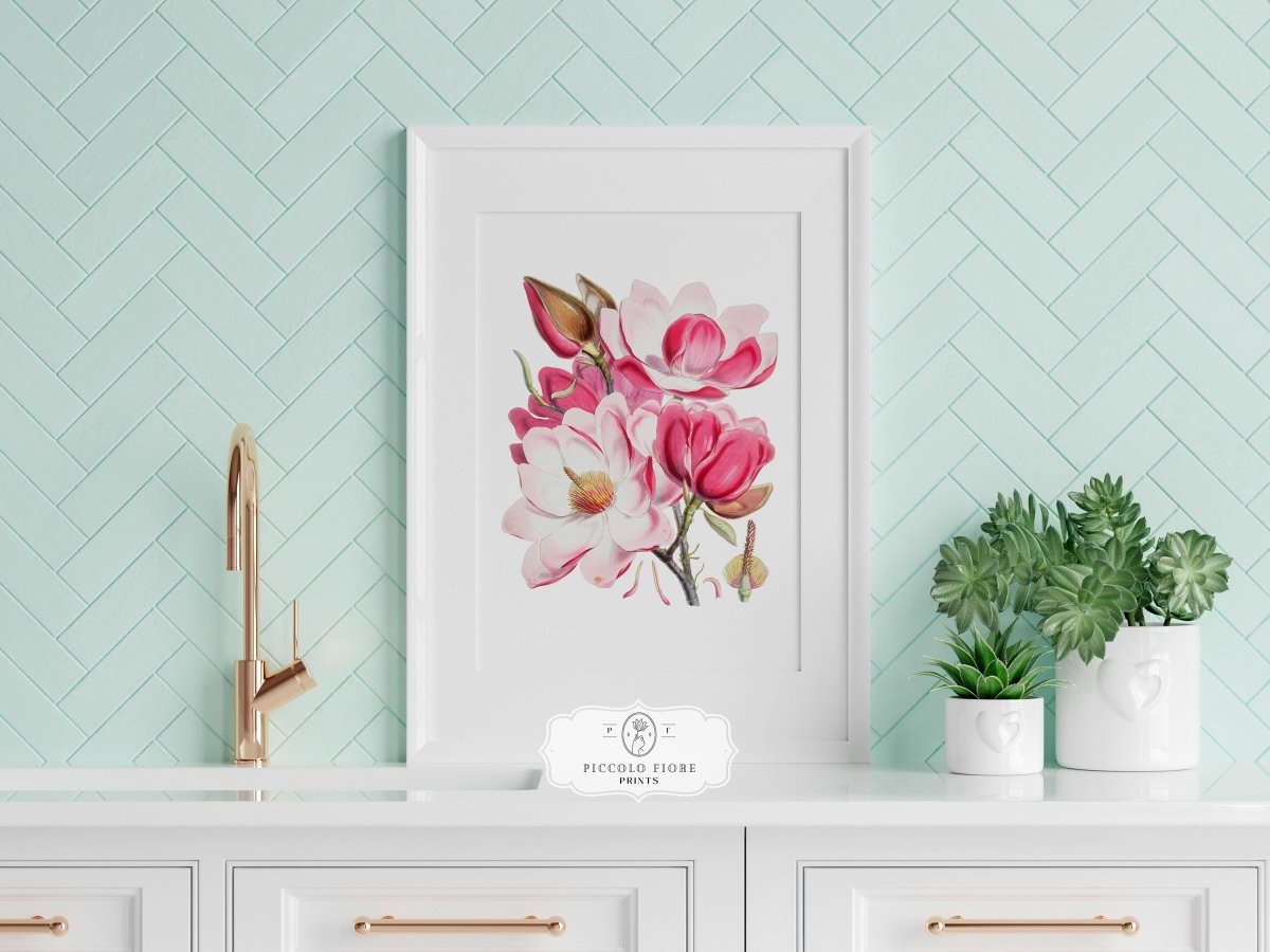 Bright Pink Magnolia Illustration | P47 - Single Art Prints - Piccolo Fiore Prints