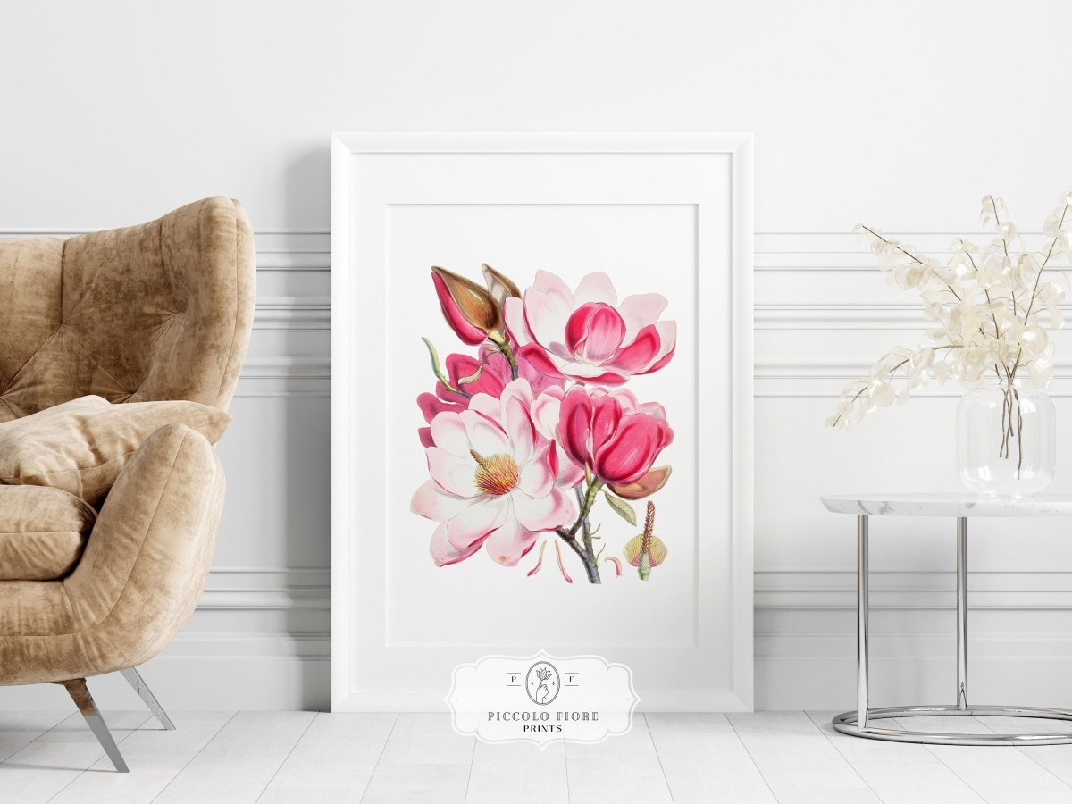 Bright Pink Magnolia Illustration | P47 - Single Art Prints - Piccolo Fiore Prints