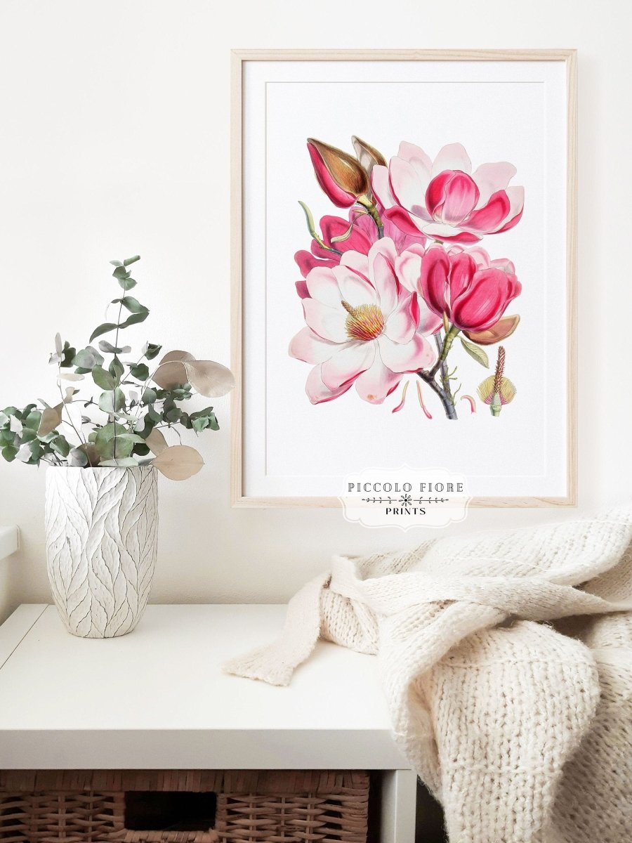 Bright Pink Magnolia Illustration | P47 - Single Art Prints - Piccolo Fiore Prints