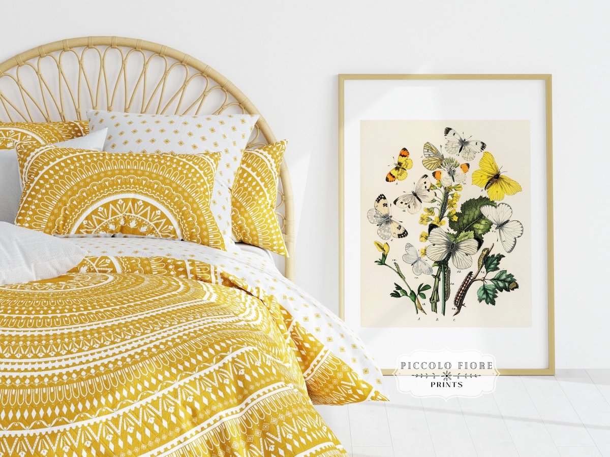 Butterflies and Caterpillars | P41 - Single Art Prints - Piccolo Fiore Prints