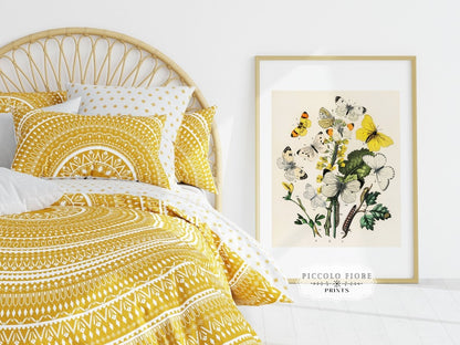 Butterflies and Caterpillars | P41 - Single Art Prints - Piccolo Fiore Prints