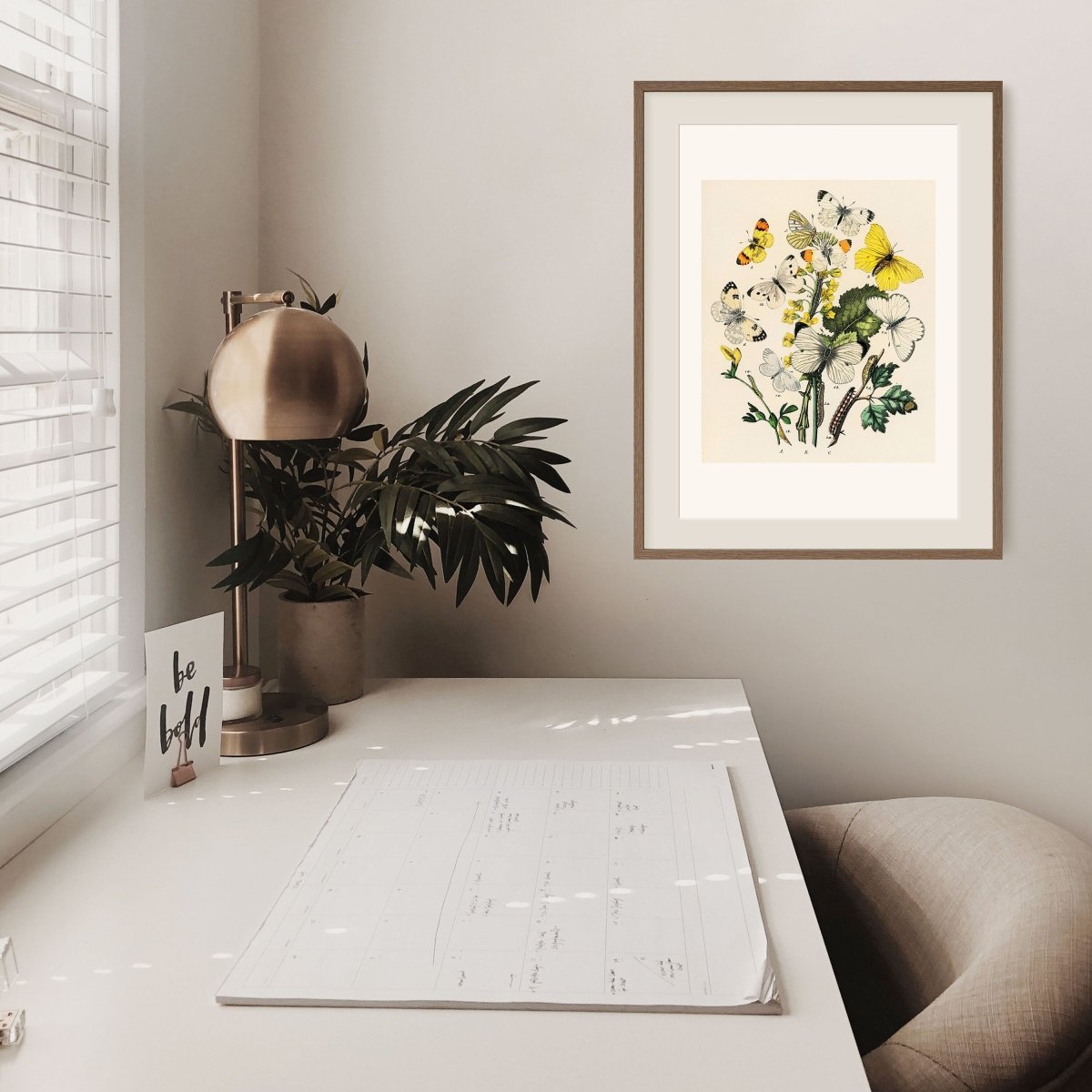Butterflies and Caterpillars | P41 - Single Art Prints - Piccolo Fiore Prints