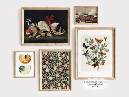 Butterflies and Seashells | Gallery Wall Set | 5 Prints | M10 - 2.1 - Gallery Wall Set - Piccolo Fiore Prints