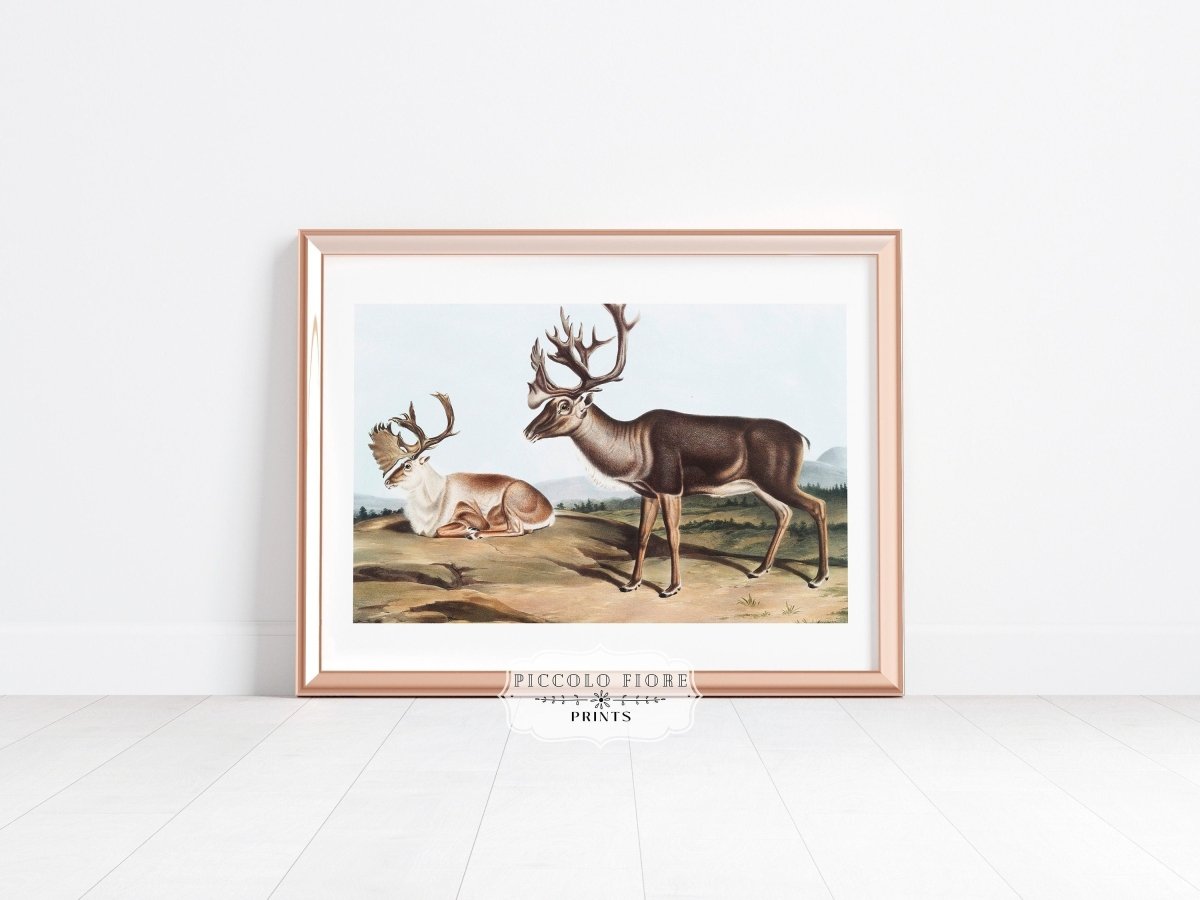 Caribou | P65 - Single Art Prints - Piccolo Fiore Prints