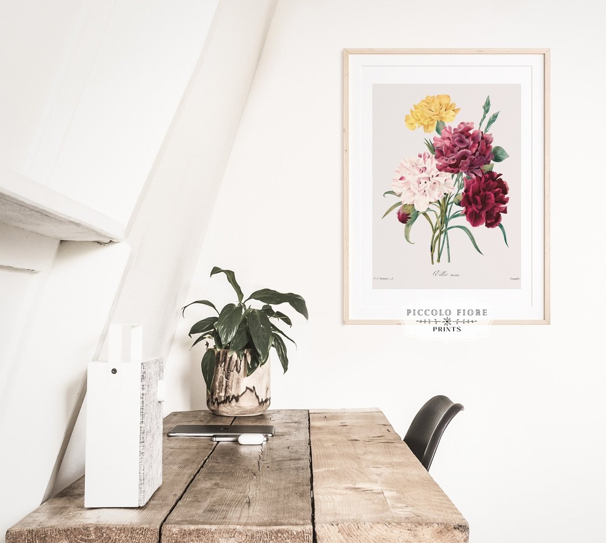 Carnations | P493 - Single Art Prints - Piccolo Fiore Prints