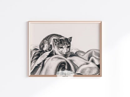 Cat Sitting in a Basket Sketch | P214 - Single Art Prints - Piccolo Fiore Prints