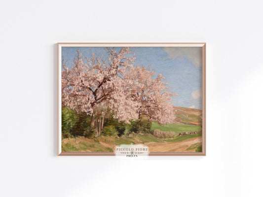 Cherry Blossom | P440 - Single Art Prints - Piccolo Fiore Prints