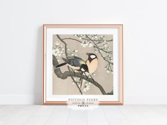 Cherry Branch | Vintage Japanese Art | P279 - Single Square Art Prints - Piccolo Fiore Prints