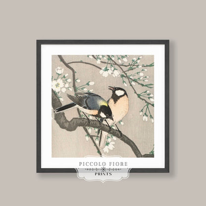 Cherry Branch | Vintage Japanese Art | P279 - Single Square Art Prints - Piccolo Fiore Prints