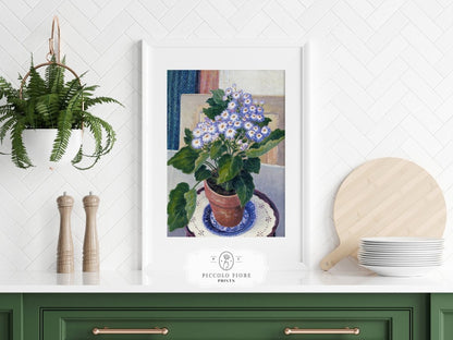Cineraria | P208 - Single Art Prints - Piccolo Fiore Prints