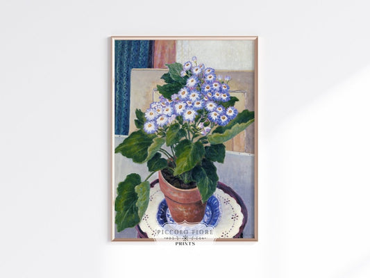Cineraria | P208 - Single Art Prints - Piccolo Fiore Prints