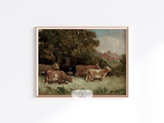 Cows Grazing | P369 - Single Art Prints - Piccolo Fiore Prints